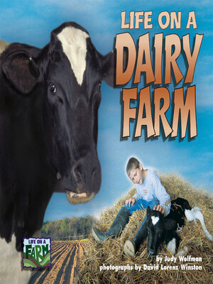 cover image of Life on a Dairy Farm